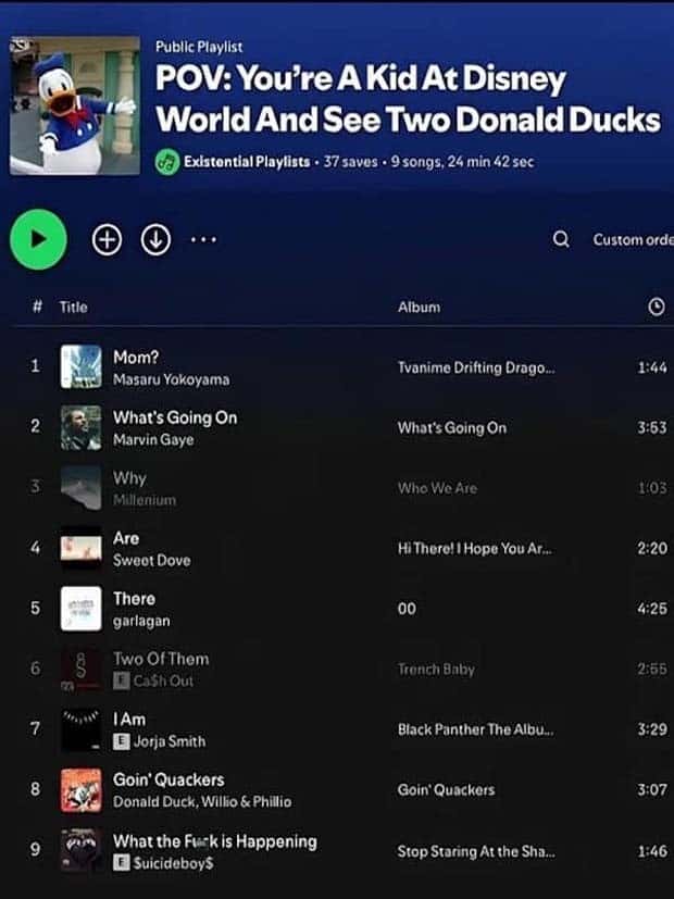 confusing spotify playlists 26 Confusing Spotify Playlists Full of Chaos (27 photos)
