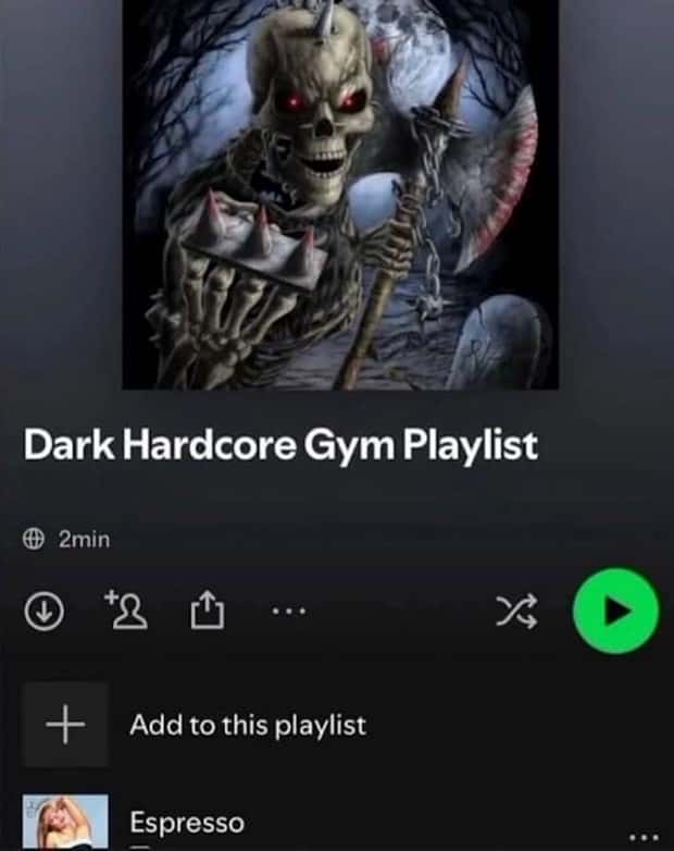 confusing spotify playlists 6 Confusing Spotify Playlists Full of Chaos (27 photos)