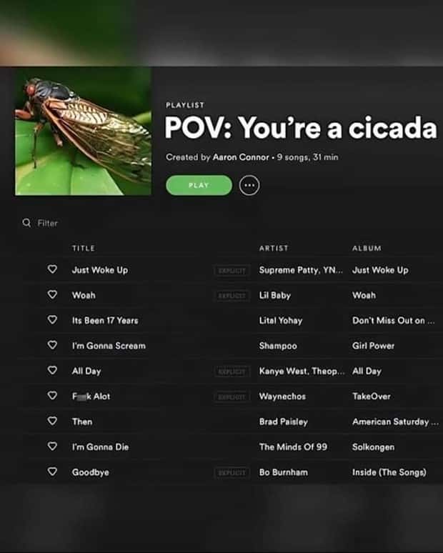 confusing spotify playlists 7 Confusing Spotify Playlists Full of Chaos (27 photos)