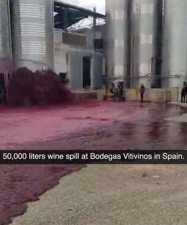 Outrageously Painful and Expensive Fails (40 photos)