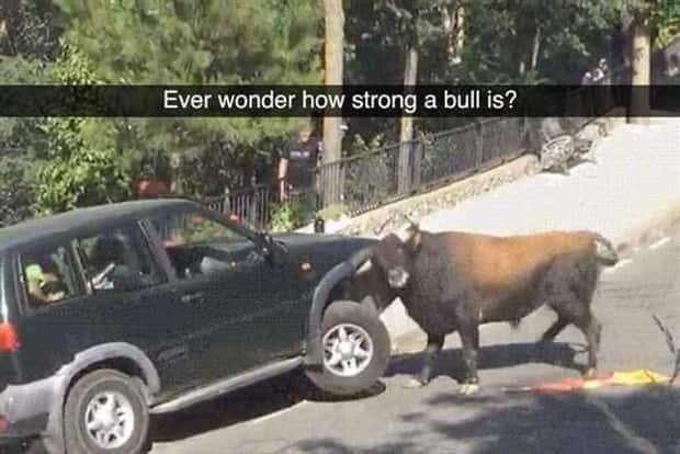 Outrageously Painful and Expensive Fails (40 photos)