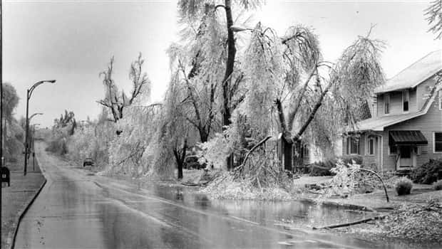 Things Trapped Beneath Thick Ice (40 photos)