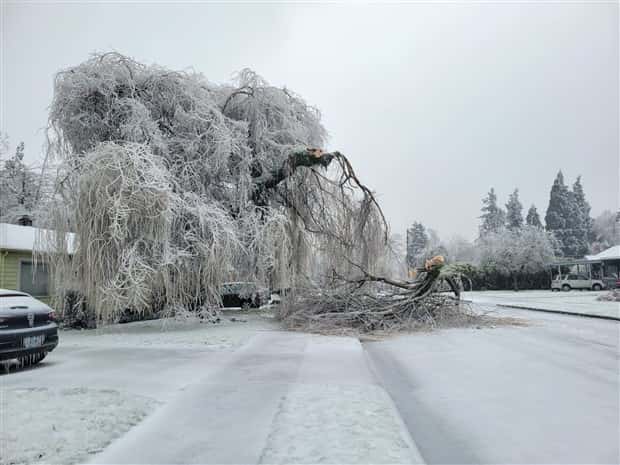 Things Trapped Beneath Thick Ice (40 photos)