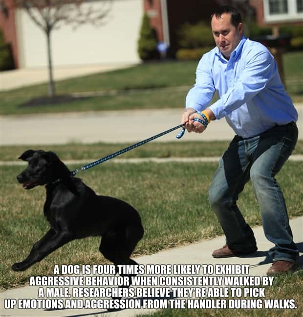 It’s Time for Some Cool and Interesting Facts #411 (26 photos)
