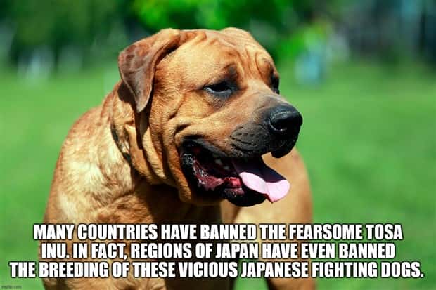 It’s Time for Some Cool and Interesting Facts #411 (26 photos)