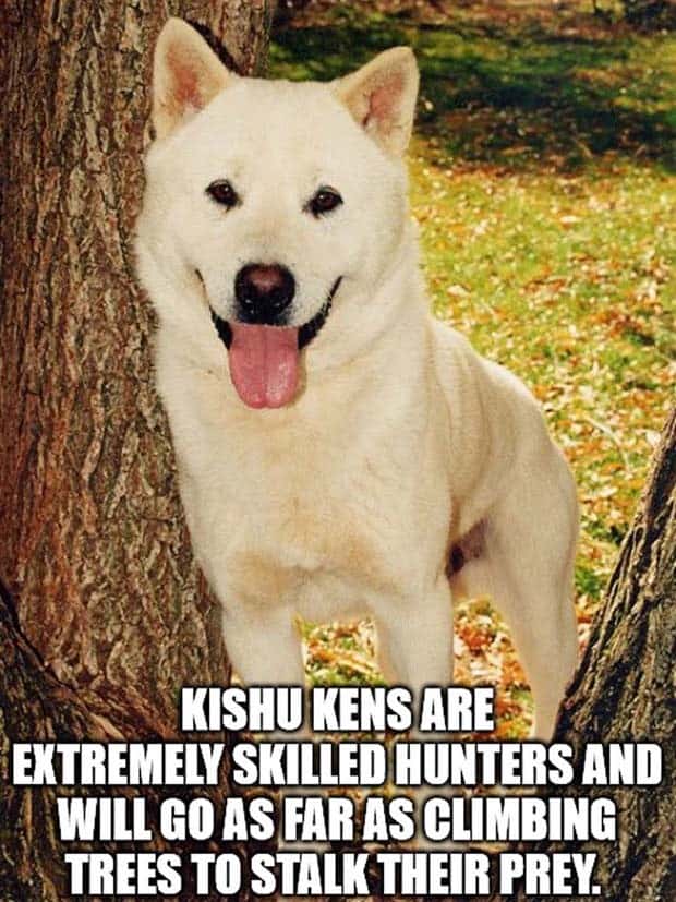 It’s Time for Some Cool and Interesting Facts #411 (26 photos)