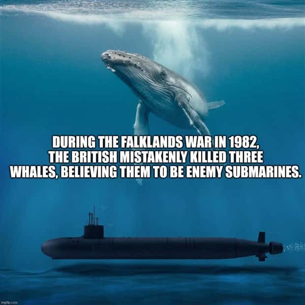 It’s Time for Some Cool and Interesting Facts #411 (26 photos)