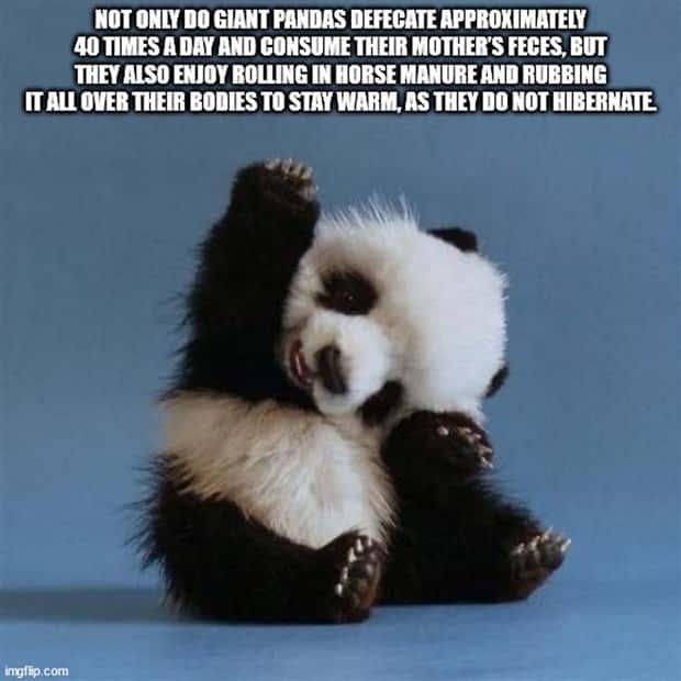 It’s Time for Some Cool and Interesting Facts #411 (26 photos)