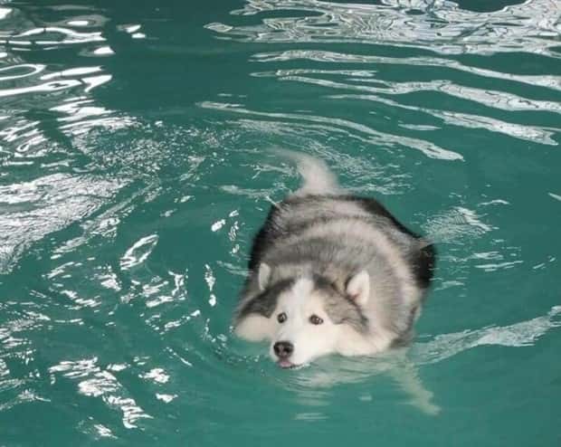 funny animals 10 3 Get Ready for Funny Animals #369 (23 photos)