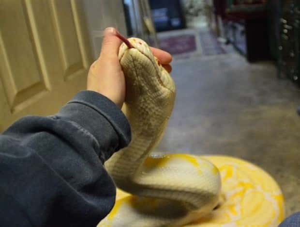 Get Ready for Funny Animals #370 (25 photos)