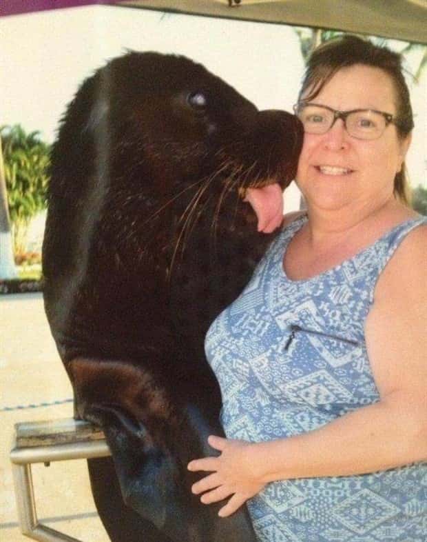 funny animals 17 3 Get Ready for Funny Animals #369 (23 photos)