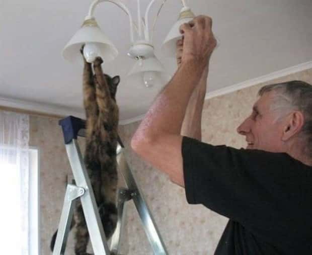 funny animals 19 3 Get Ready for Funny Animals #369 (23 photos)