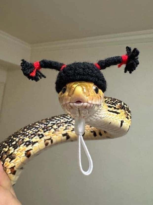 funny animals 2 Get Ready for Funny Animals #366 (25 photos)