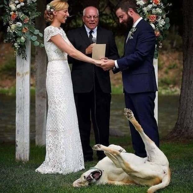 Get Ready for Funny Animals #367 (26 photos)