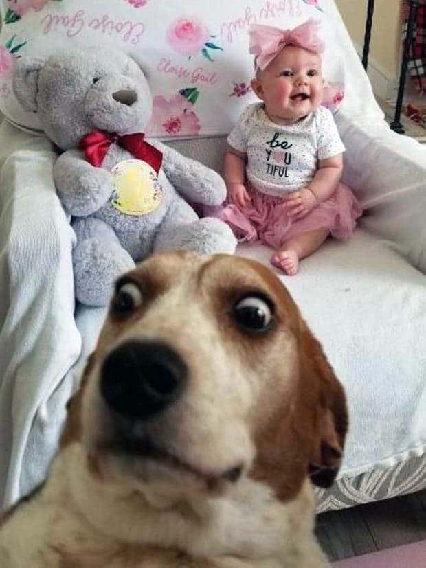 funny animals 24 2 Get Ready for Funny Animals #368 (24 photos)