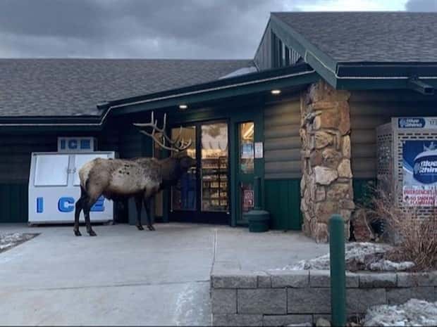 Get Ready for Funny Animals #367 (26 photos)