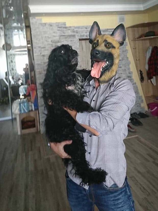 Get Ready for Funny Animals #367 (26 photos)