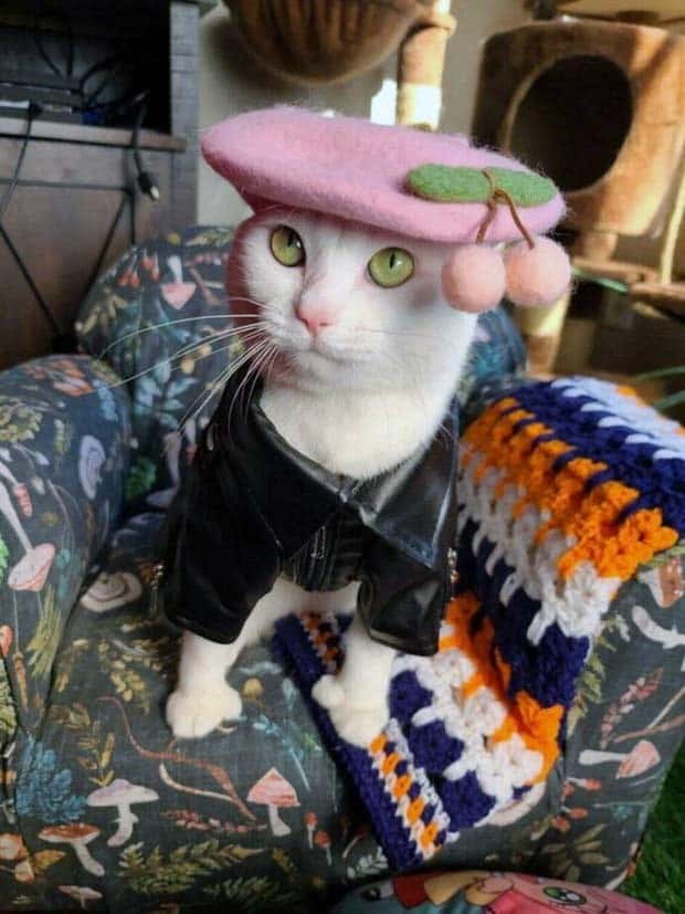 Get Ready for Funny Animals #370 (25 photos)