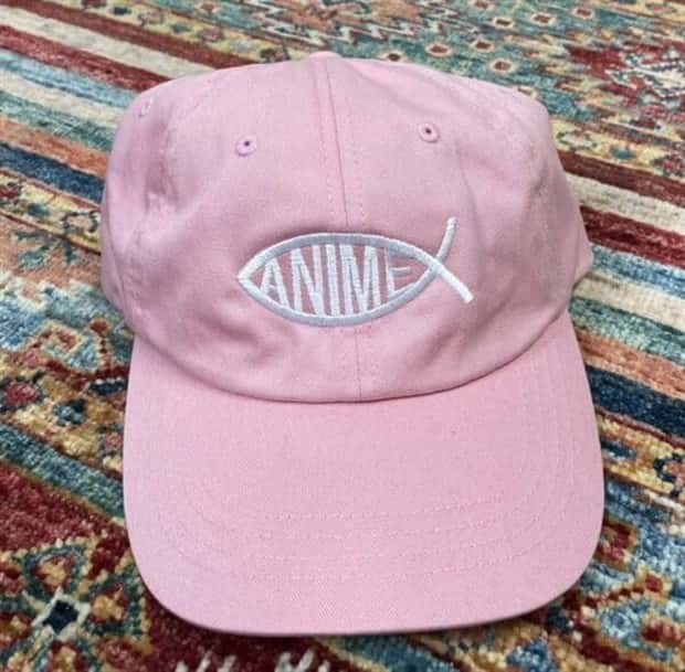 Funny Hats Displaying Witty Texts (25 photos)