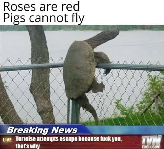 Funny Pics and Memes to Make You Laugh #138 (24 photos)