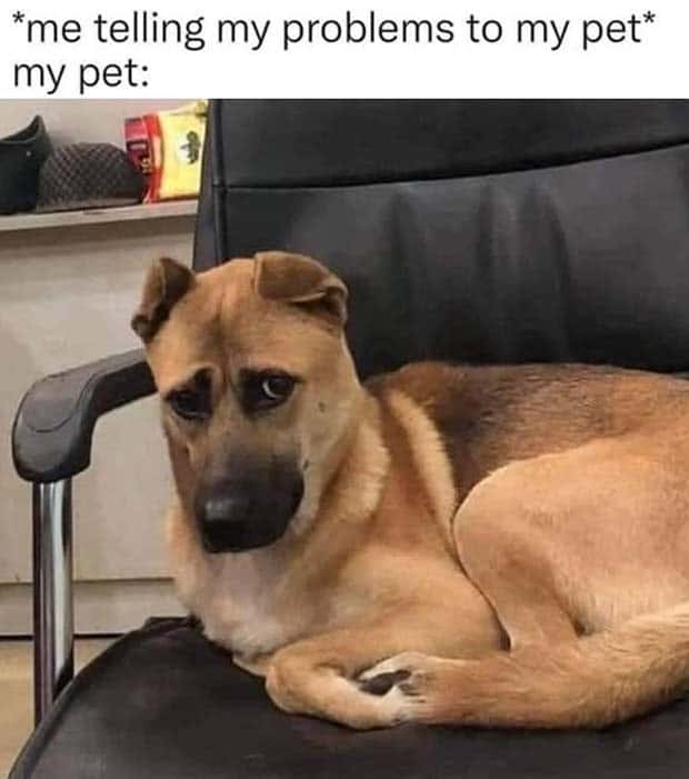 Funny Pics and Memes to Make You Laugh #138 (24 photos)