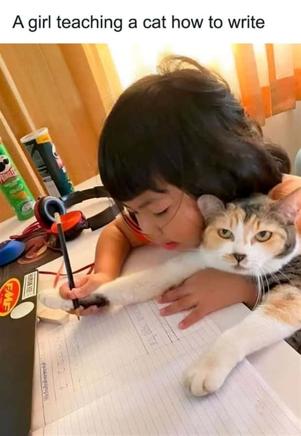 Funny Pics and Memes to Make You Laugh #138 (24 photos)