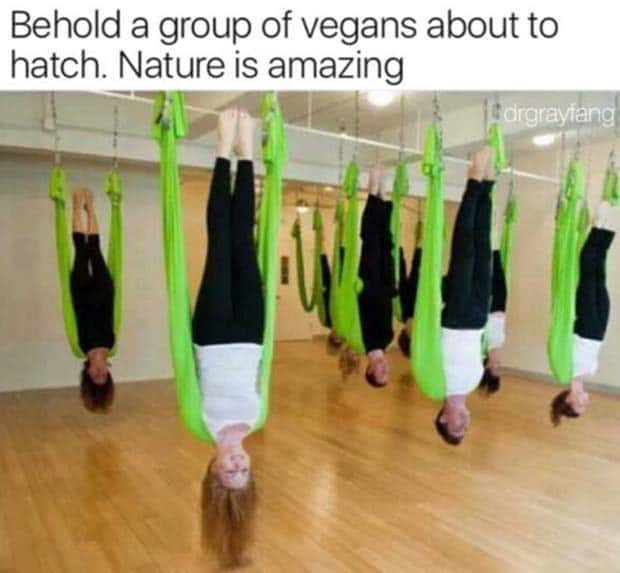 Funny Pics and Memes to Make You Laugh #138 (24 photos)