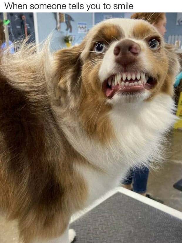 Funny Pics and Memes to Make You Laugh #138 (24 photos)