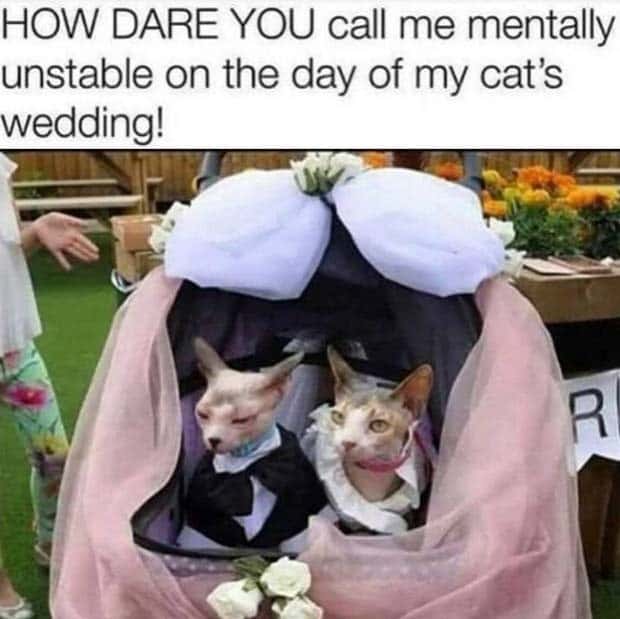 Funny Pics and Memes to Make You Laugh #138 (24 photos)