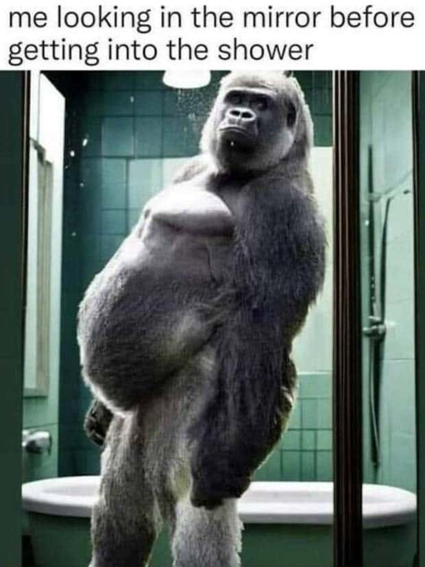 Funny Pics and Memes to Make You Laugh #138 (24 photos)