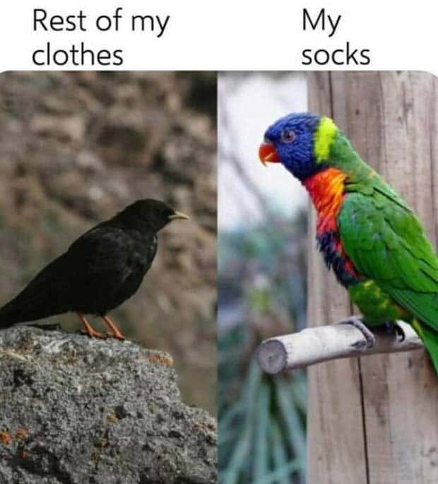 Funny Pics and Memes to Make You Laugh #139 (27 photos)