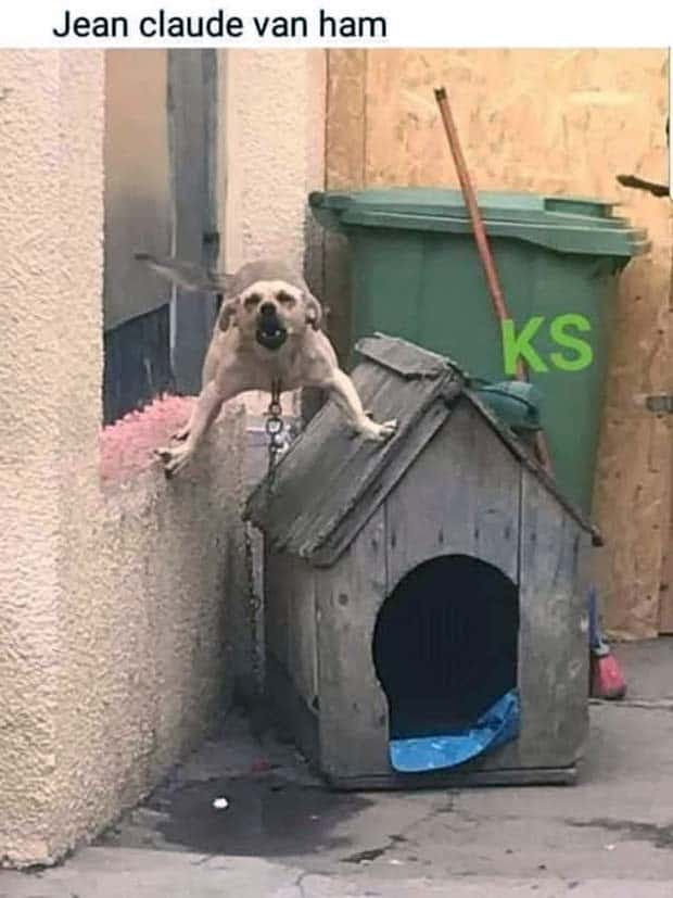 Funny Pics and Memes to Make You Laugh #140 (25 photos)