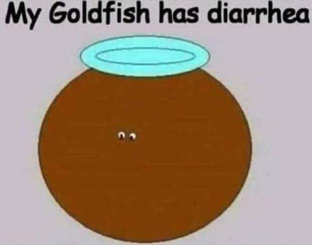 Funny Pics and Memes to Make You Laugh #140 (25 photos)