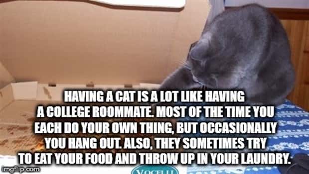 Funny Shower Thoughts #139 (23 photos)