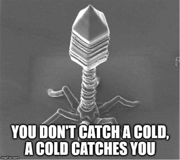 Funny Shower Thoughts #139 (23 photos)