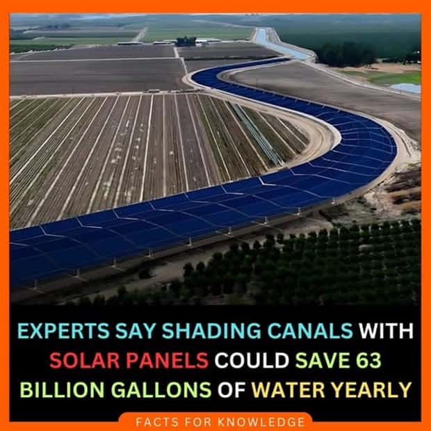 Cool and Interesting Facts #414 (27 photos)