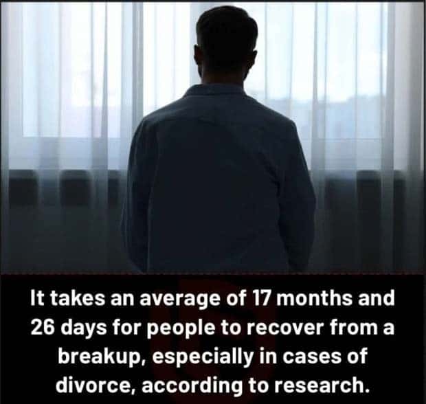 Cool and Interesting Facts #414 (27 photos)