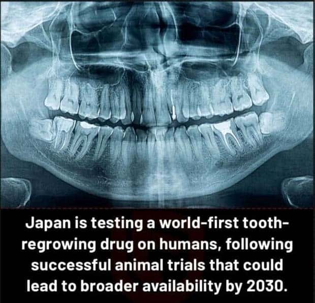 Cool and Interesting Facts #414 (27 photos)