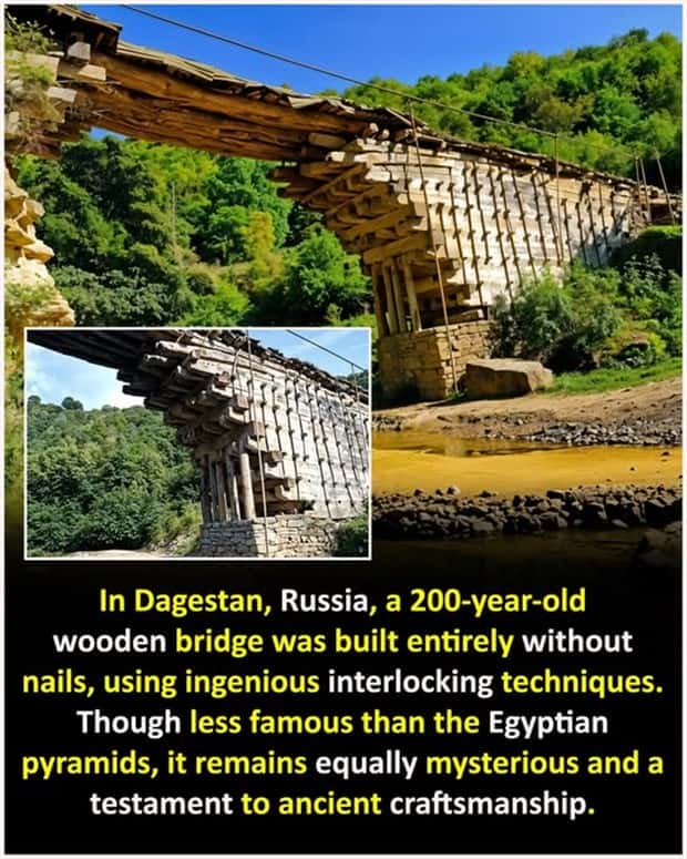 Cool and Interesting Facts #414 (27 photos)