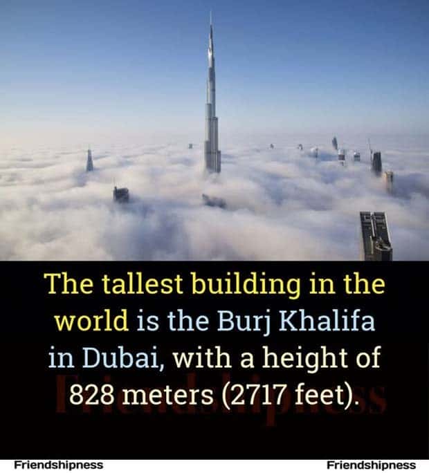 Cool and Interesting Facts #414 (27 photos)