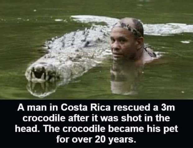 Cool and Interesting Facts #414 (27 photos)