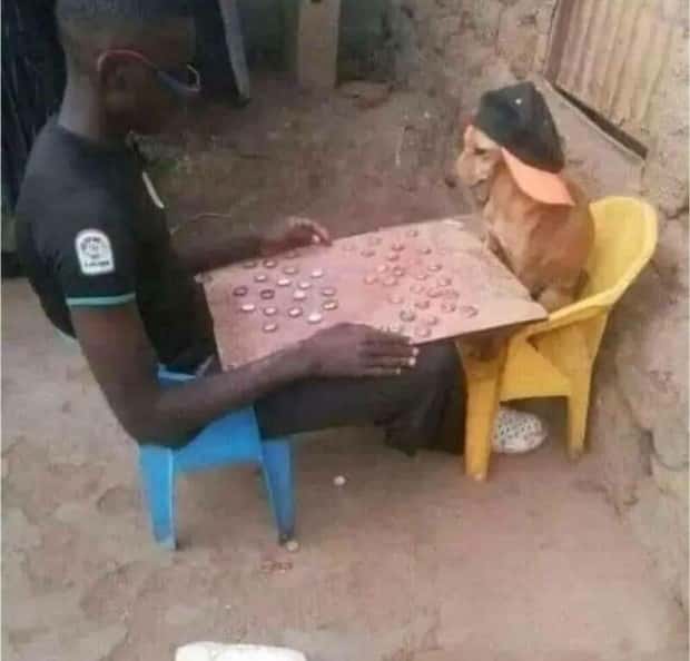 Klyker Picdump #1628 (43 photos)