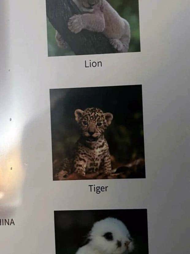 Klyker Picdump #1628 (43 photos)