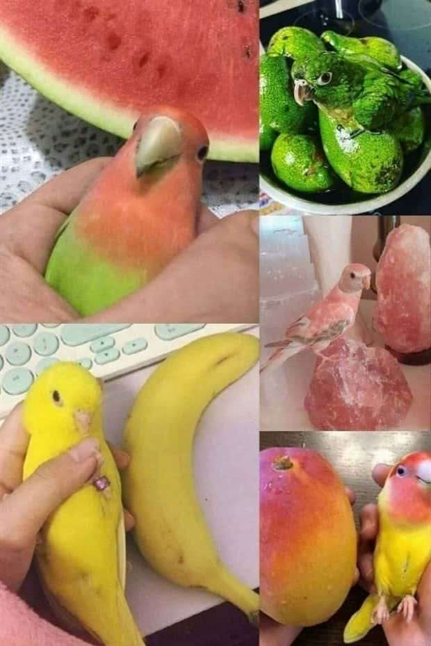 Klyker Picdump #1635 (45 photos)