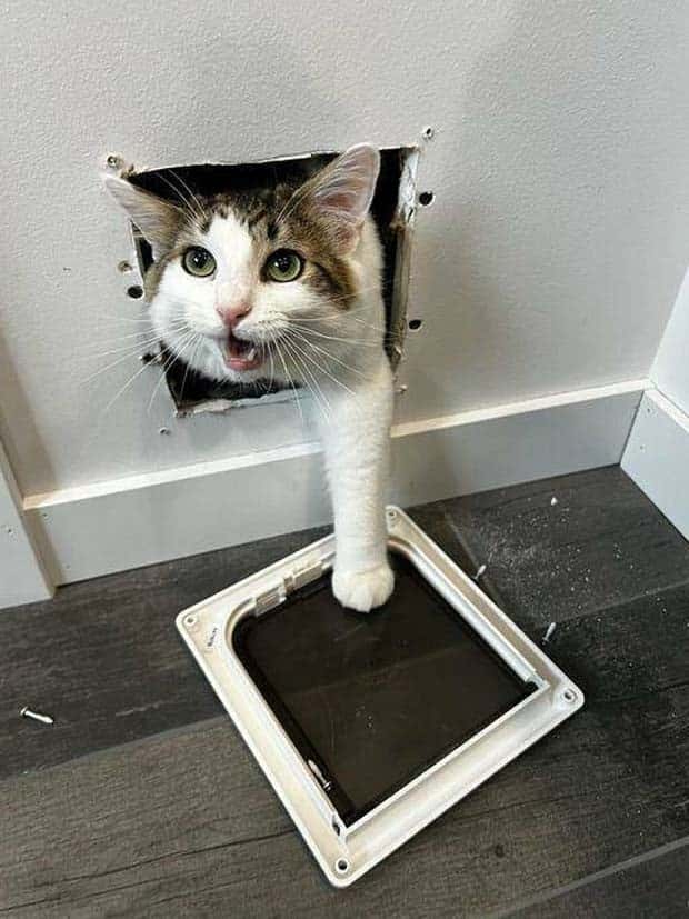 Klyker Picdump #1635 (45 photos)