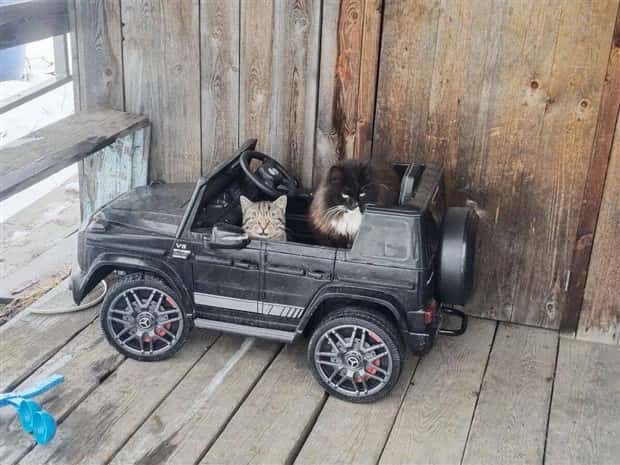 Klyker Picdump #1635 (45 photos)