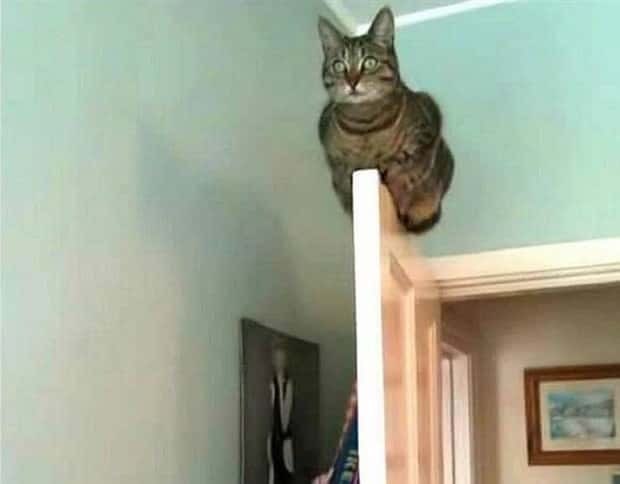 Klyker Picdump #1635 (45 photos)