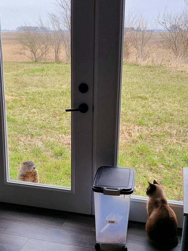 Klyker Picdump #1635 (45 photos)