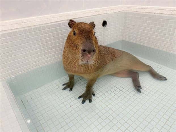 Klyker Picdump #1635 (45 photos)