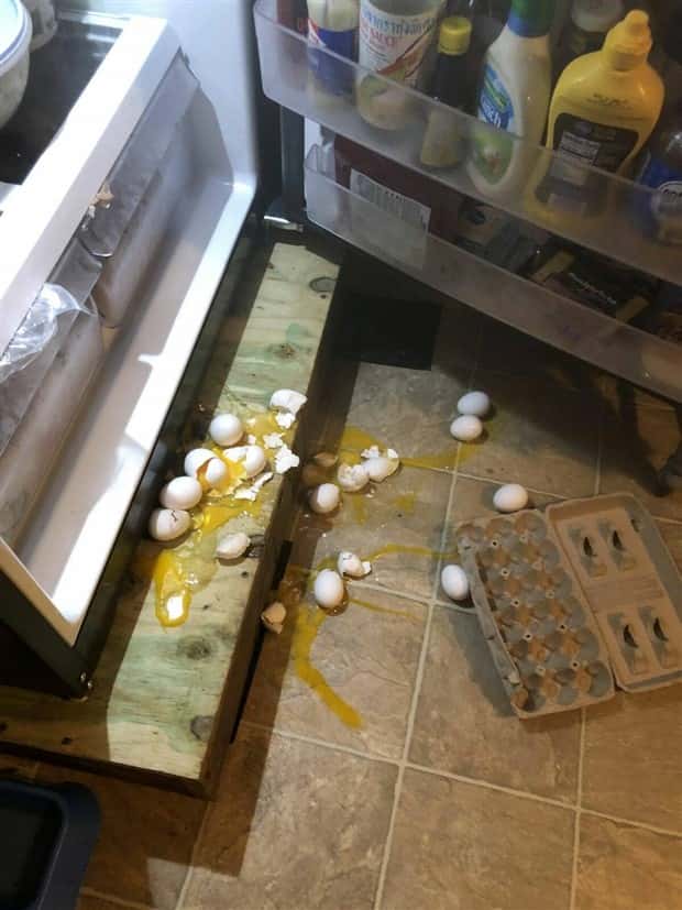 Klyker Picdump #1635 (45 photos)